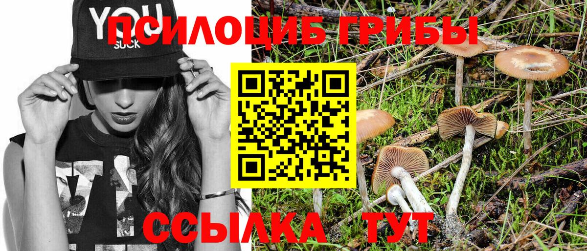 Брянск  Галлюциногенные грибы Psilocybine cubensis  Вход с VPN 