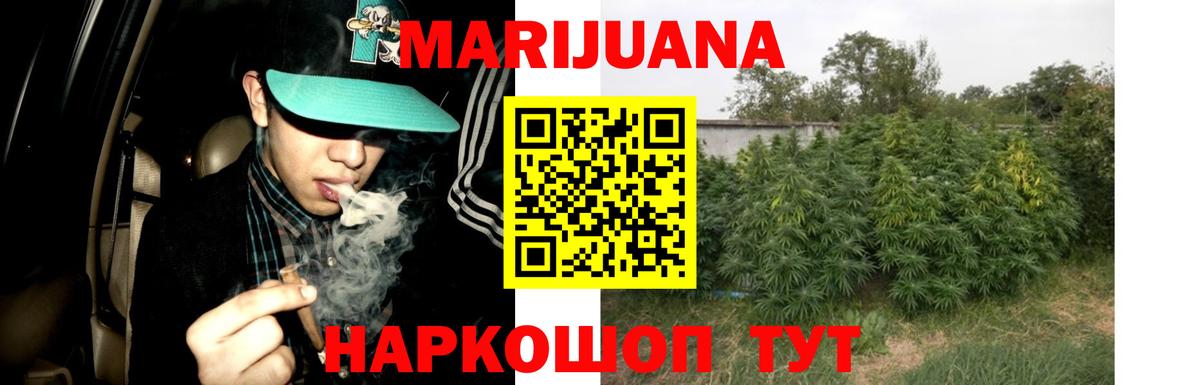 Конопля план  Вход с VPN  Шишки марихуана White Widow  Марихуана планчик  Брянск 