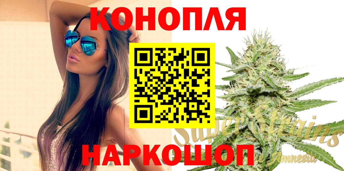 Каннабис сатива Брянск